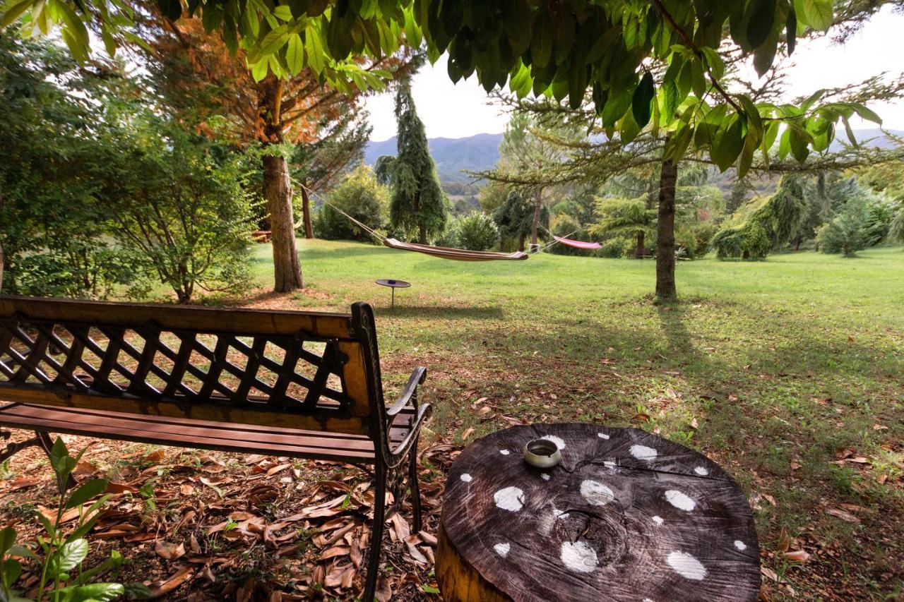 Villa Ca' Lilli à Cantiano Extérieur photo